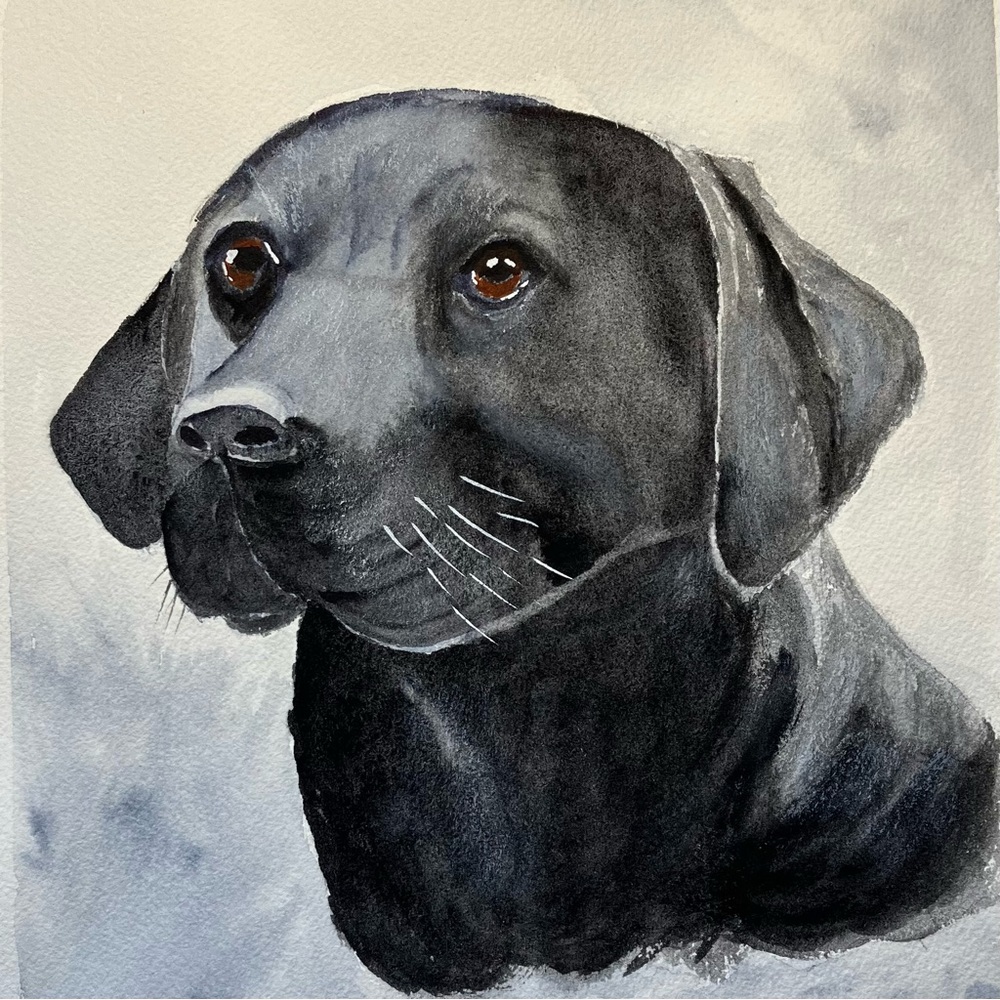 Watercolor Wall Art Black Lab Dog Painting Framed in Acid Free Art Kit, 11x14”